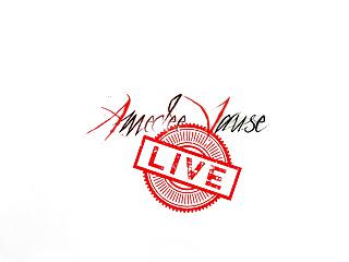 Live Webcam Show mit amedee vause