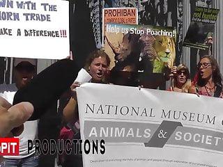 George ; romeo und Julia 2014