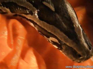 Exotische Tänzerin wird von hinten gefickt