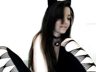 Süsses Kätzchen spielt vor der Cam